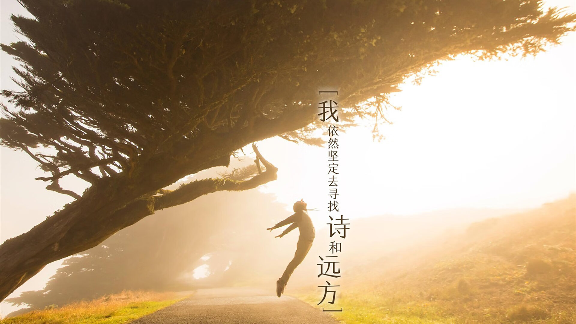 锋刃出鞘,本泽马一剑封喉,高卢雄鸡惊险过关