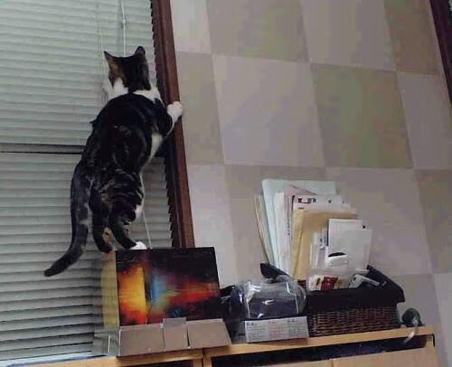 从金玟哉的爆发到喀麦隆的逆转,绿茵场上唯一性的深刻注脚