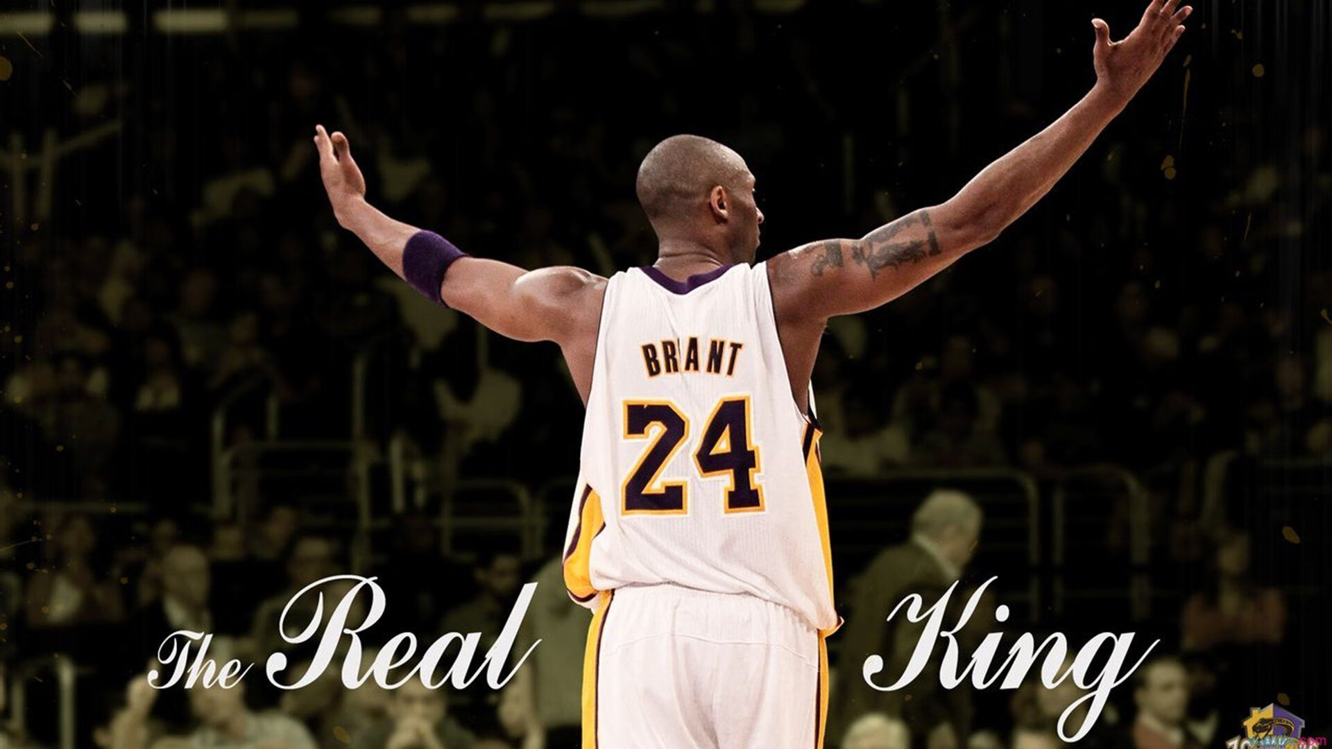 从丹佛到世界之巅，掘金一波流击溃雷霆，预演字母哥2026世界杯统治时刻