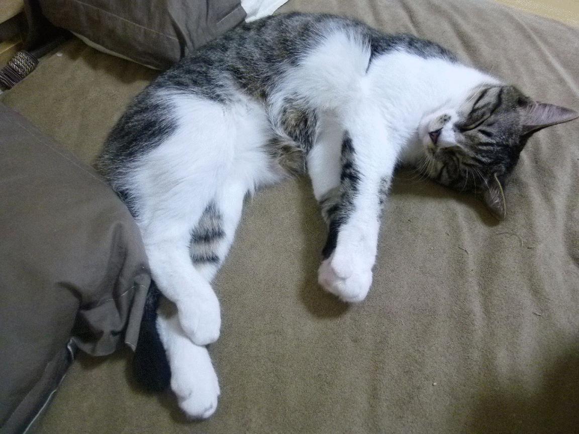 燃烧的魂与精致的形，热火抢七战淘汰篮网启示录