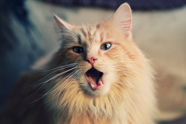 跨界决胜局,当NBA式绝杀在国家舞台上上演