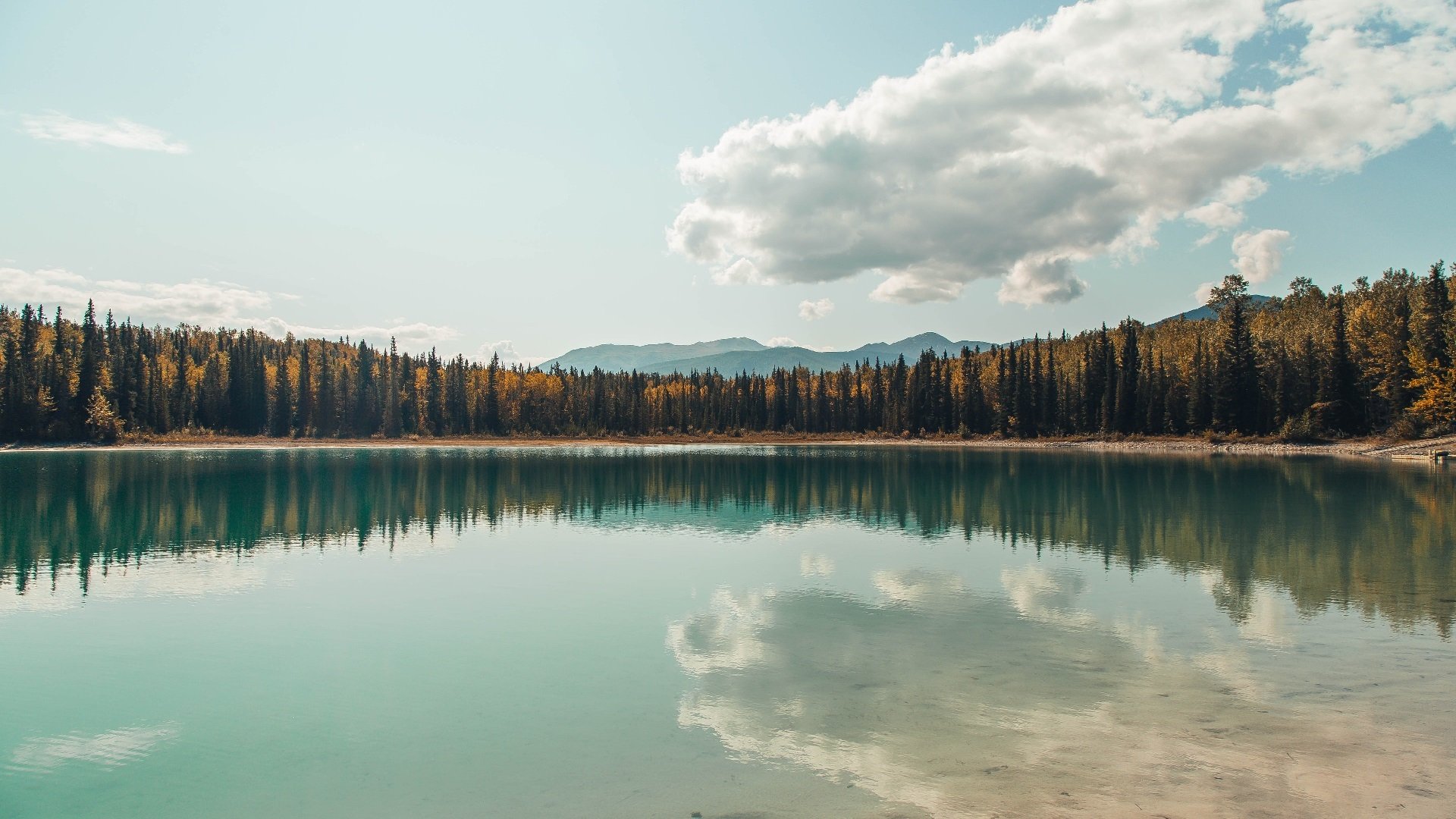 克莱狂飙定鼎胜局 深圳末节一波流击溃山西