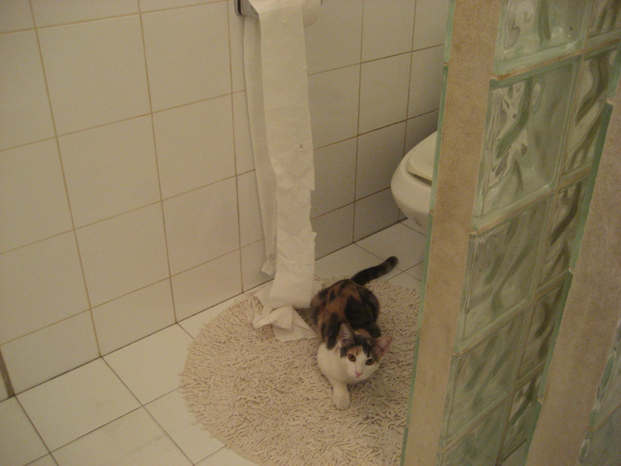 梦幻对决！掘金强压北京队？当NBA总冠军遇上CBA豪门，跨越现实的东决焦点战