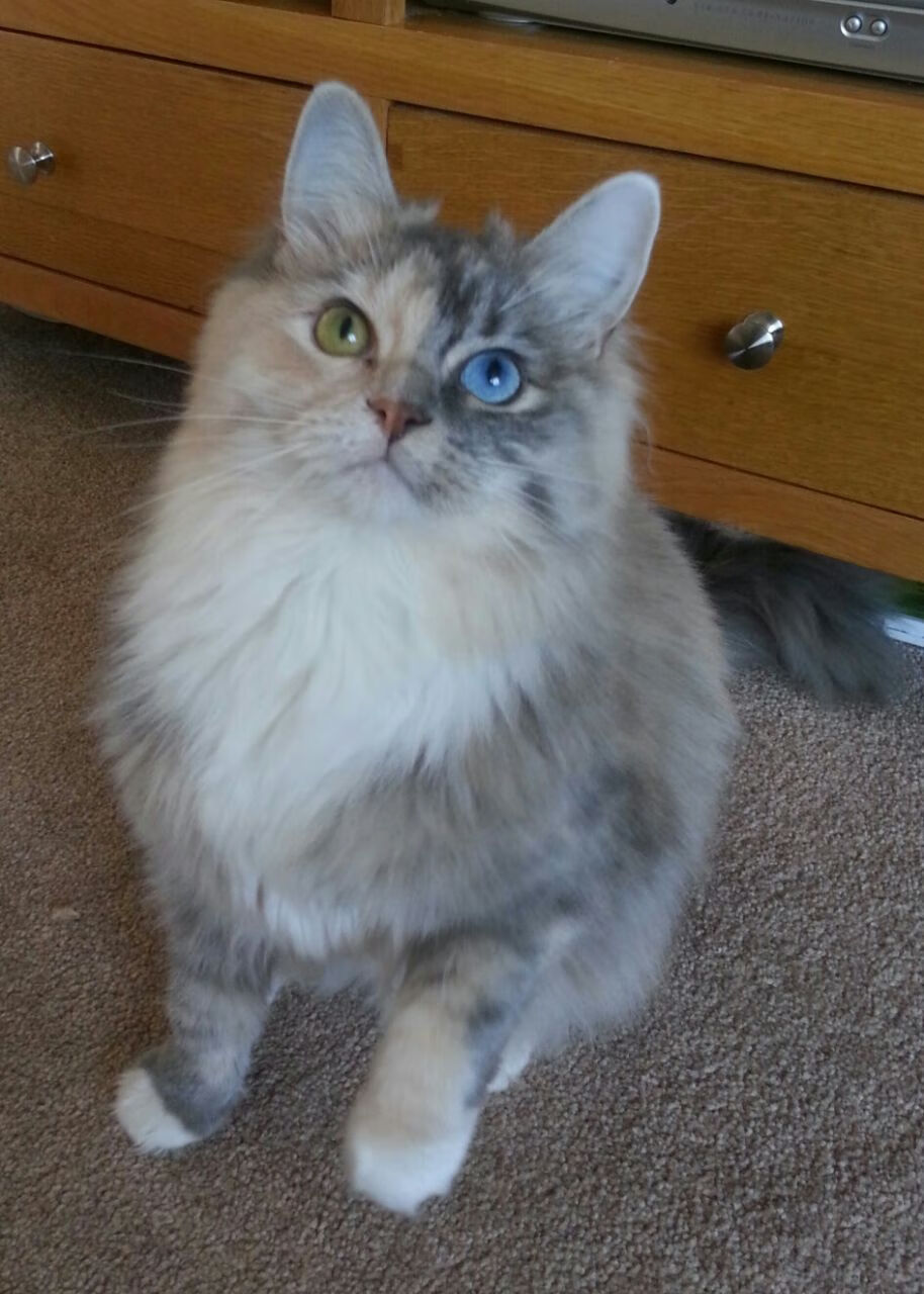 统治级表现！奥亚尔萨瓦尔在世界排名争夺战中打出历史性数据