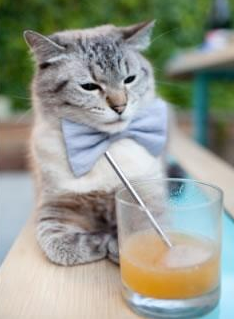 绿茵激情与硬木风暴,意甲焦点战与灰熊击溃快船的双重体育盛宴