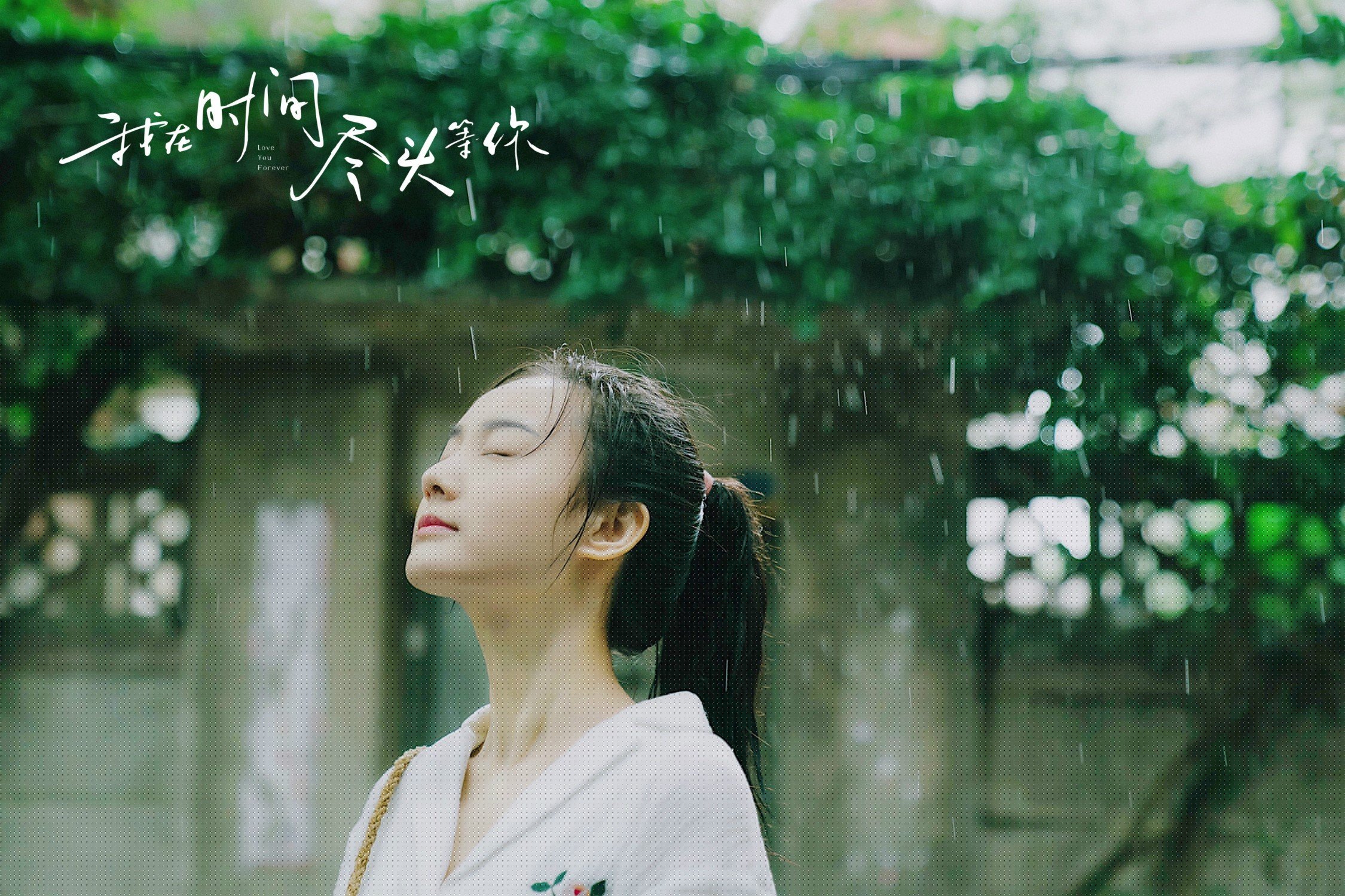 双城记，赛道上的年度争冠与球场上的国王降临—当F1终局悬念遇上萨克拉门托的碾压之夜